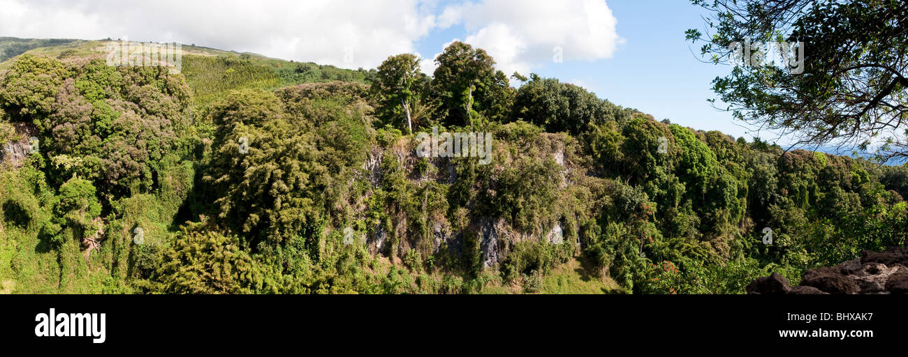 Lush green landscape near the falls at Makahiku on the Pipiwai trail near Hana Maui Hawaii. Stock Photo