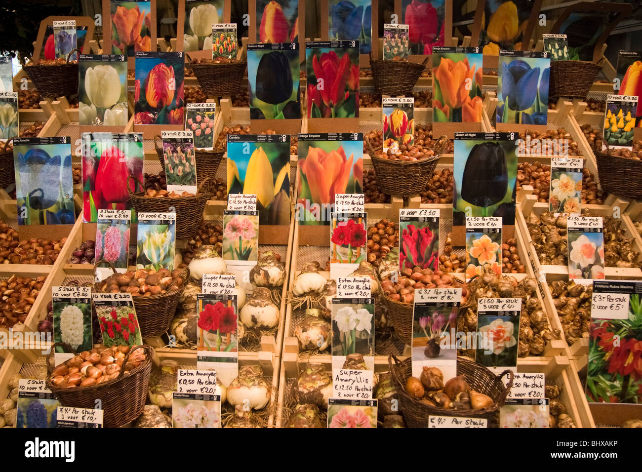 Amsterdam flower market seeds Stock Photo