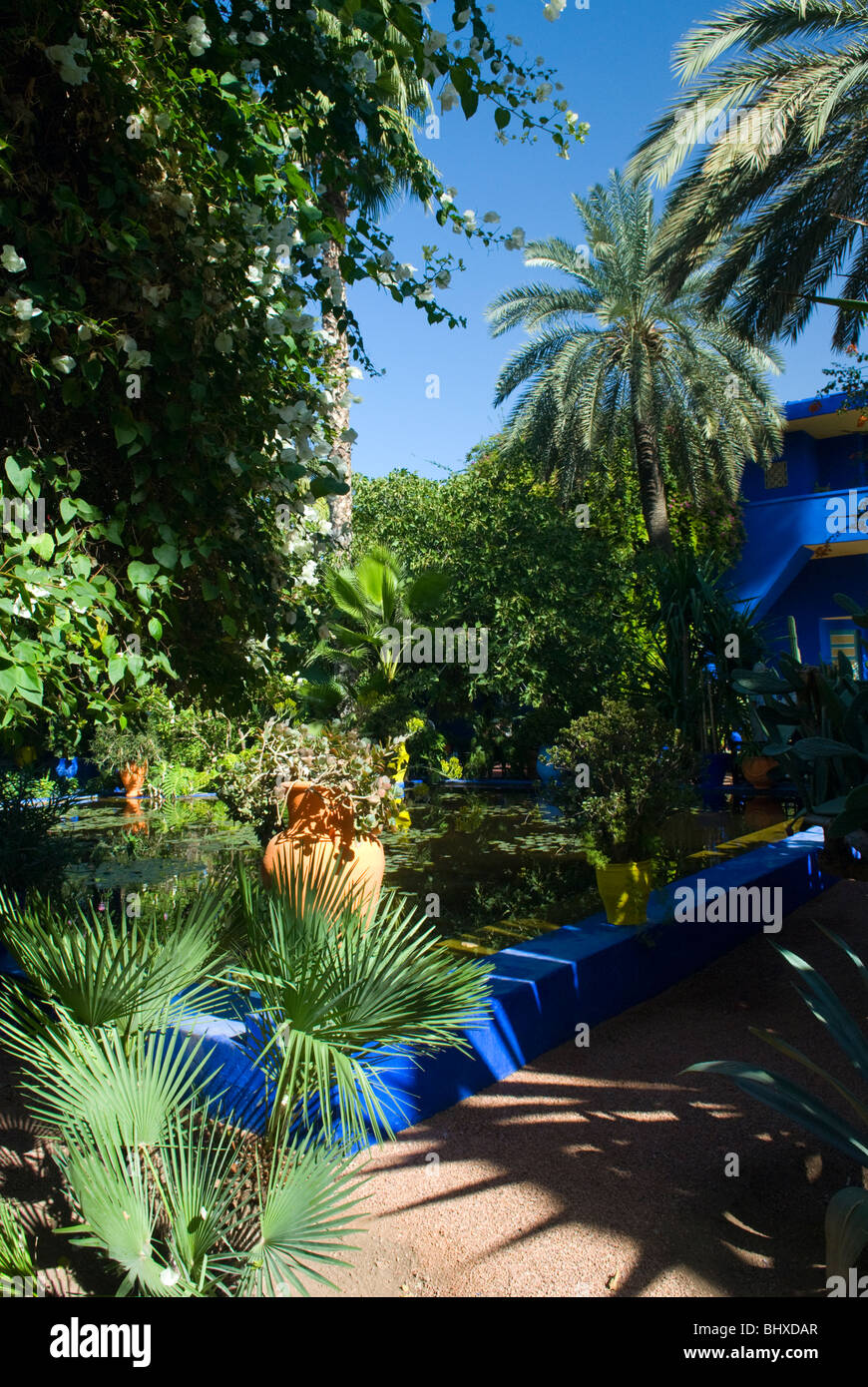 Jardin Majorelle, Marrakech, Morocco Stock Photo - Alamy