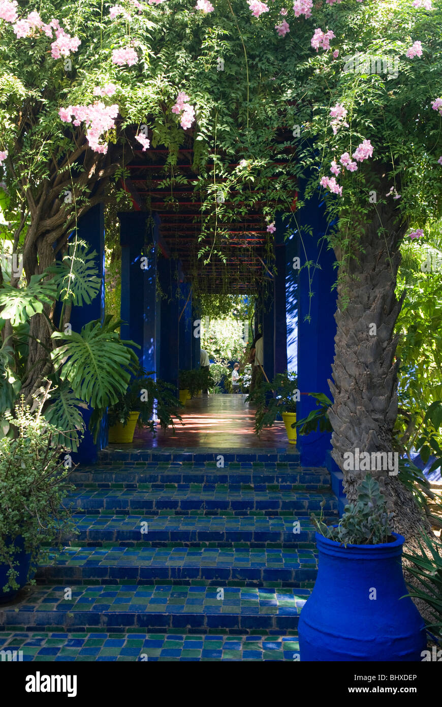 Jardin Majorelle, Marrakech, Morocco Stock Photo - Alamy