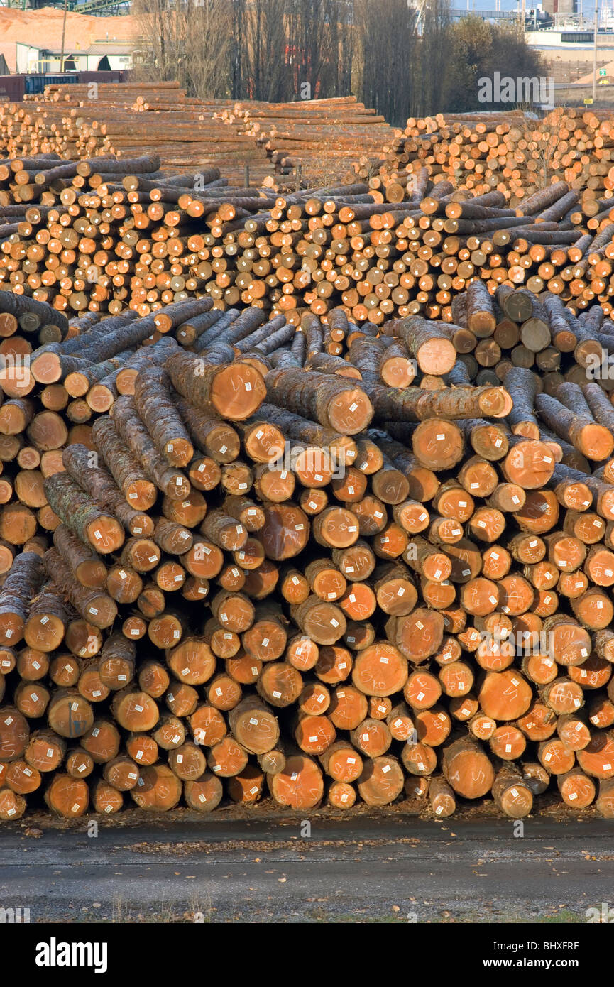 Cut trees timber lumber laying in Wood Mill Stock Photo Alamy