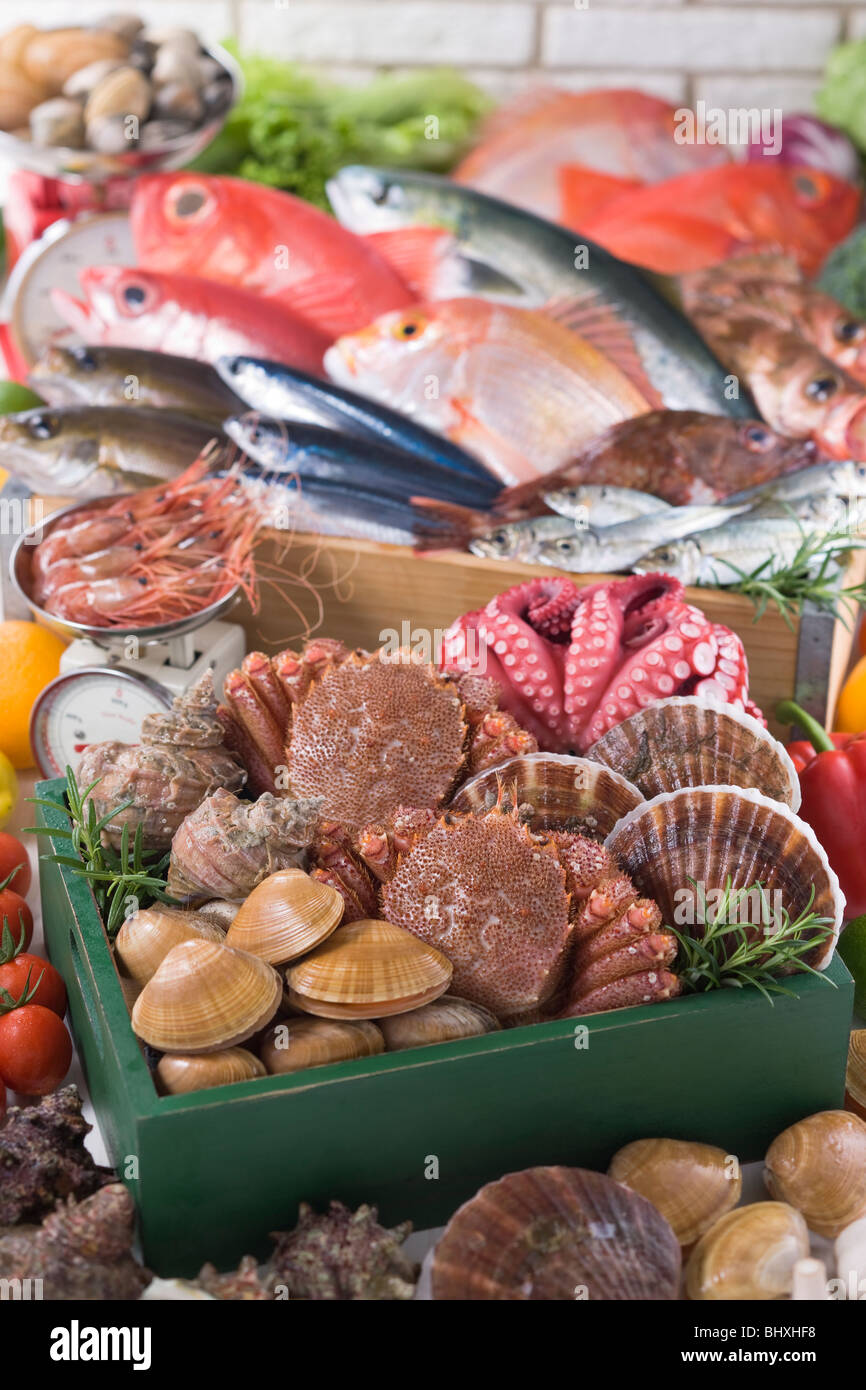 Seafood Stock Photo