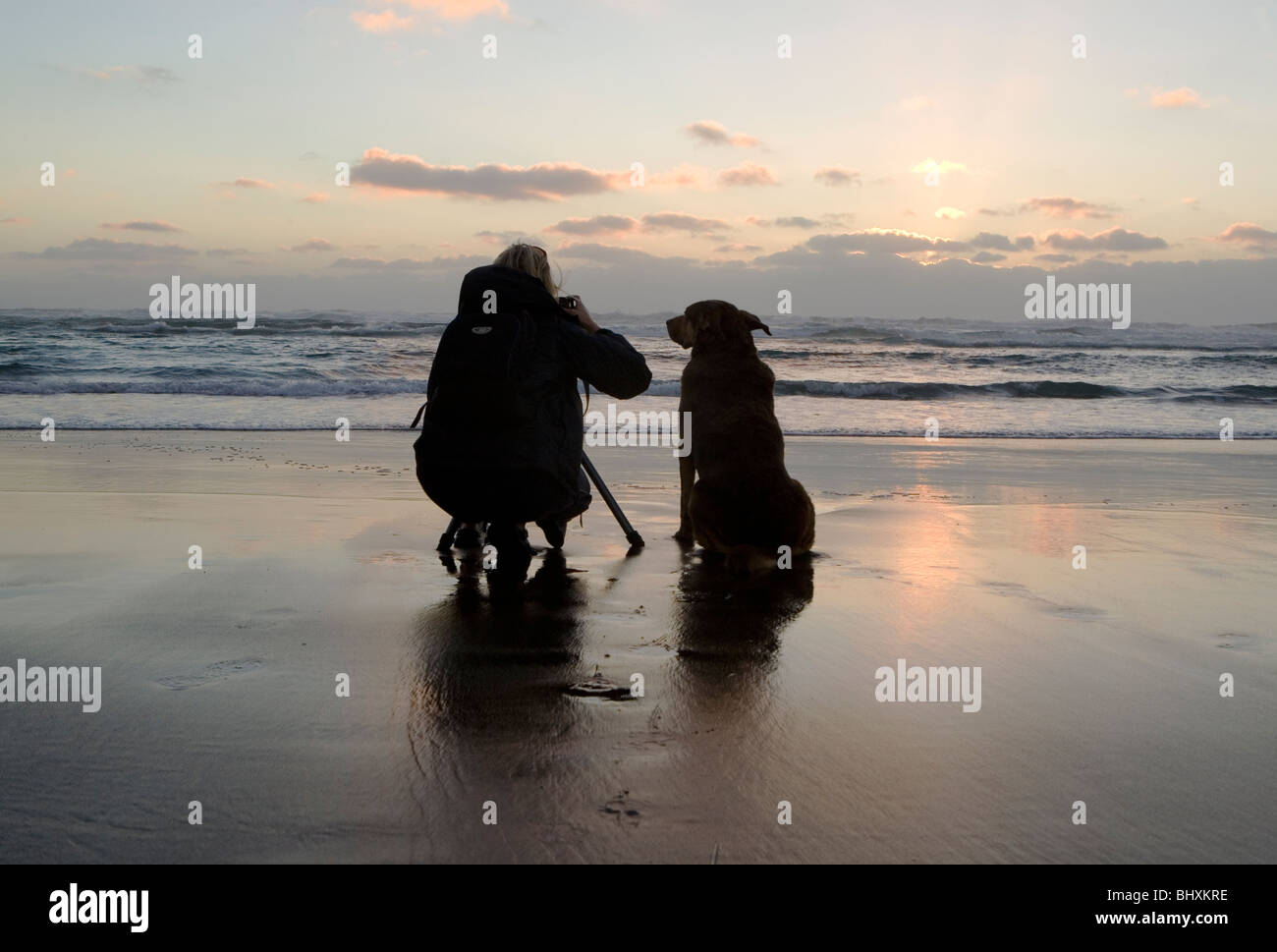 Dog watches his owner photograph the sunset Stock Photo Alamy