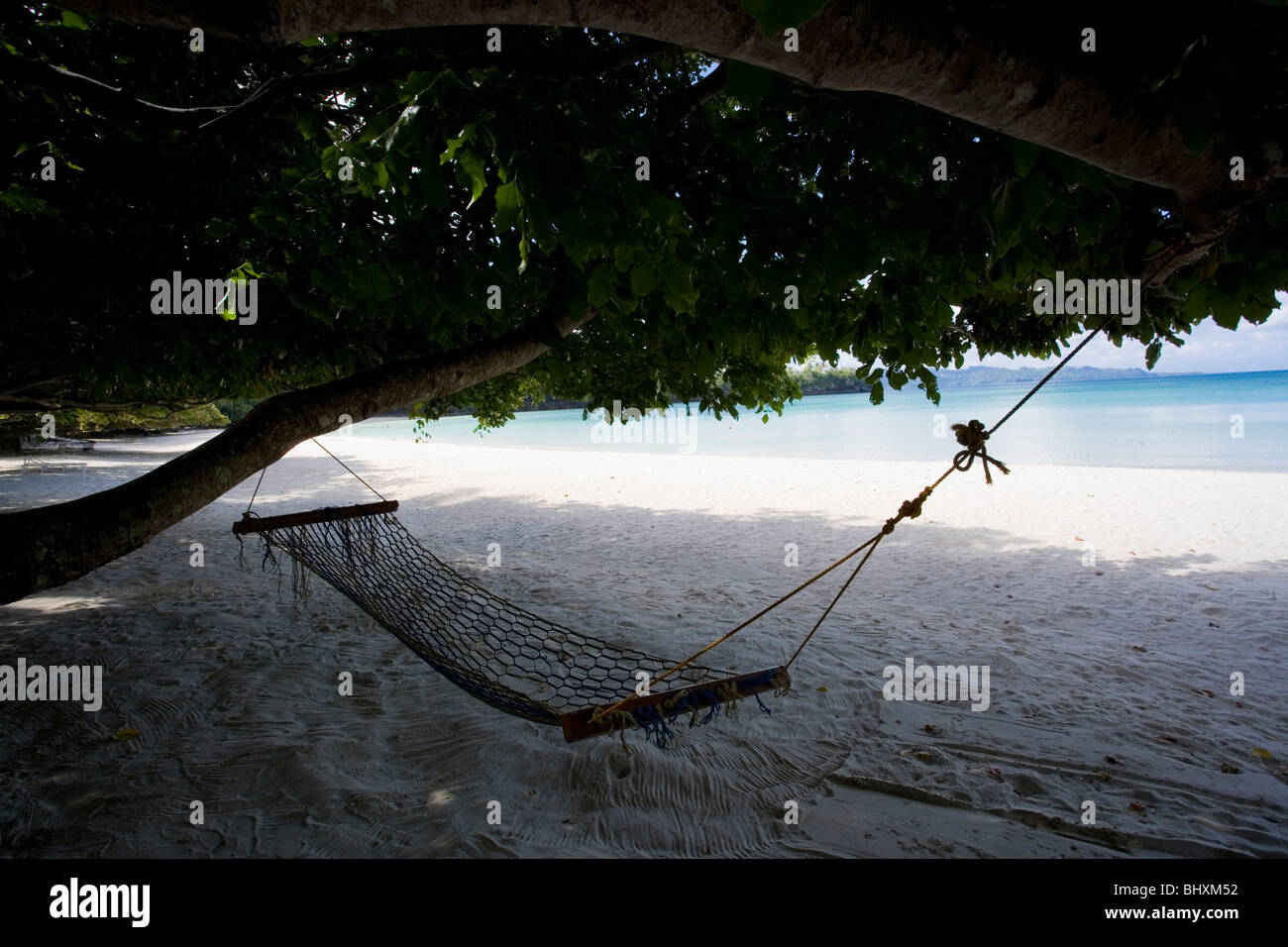 hammock hanging from a canopy of tree in the beach Stock Photo Alamy