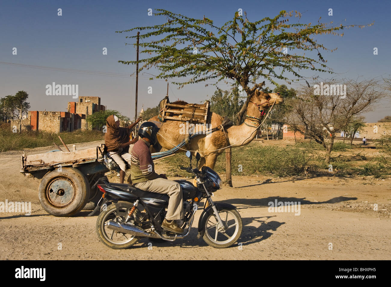 camel and a motorbike on a street, North India, India, Asia Stock Photo