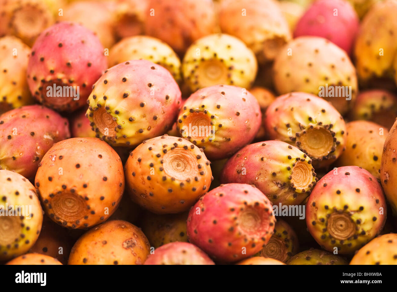Cactus figs hi-res stock photography and images - Alamy
