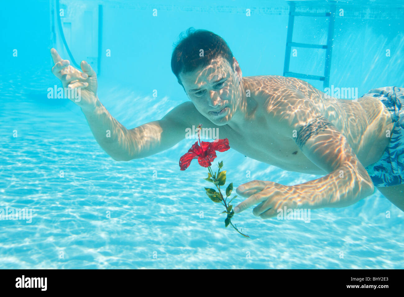 Man swimming with open eyes underwater in pool holding flower Stock