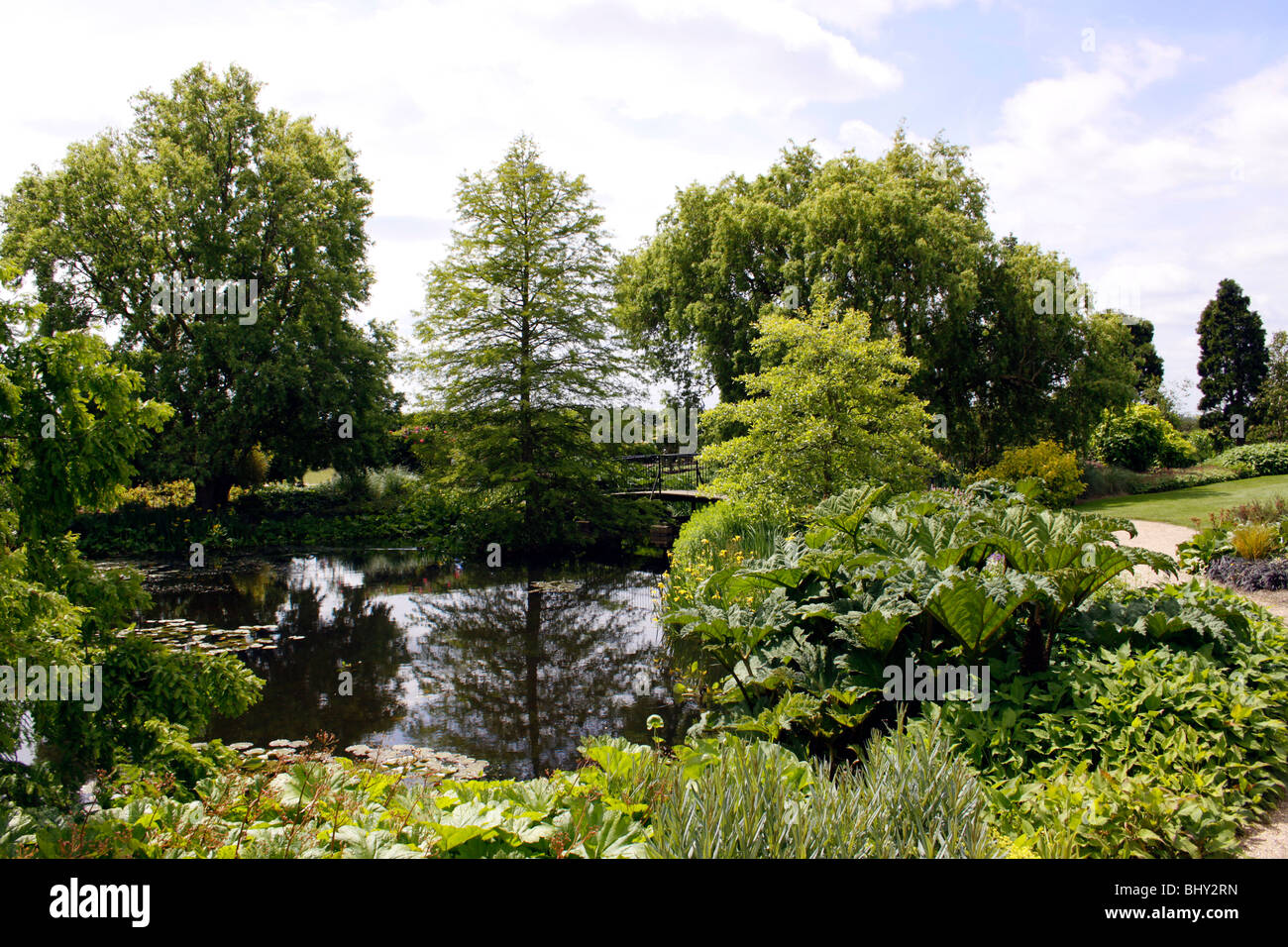 SUMMER WILDLIFE POND IN AN ENGLISH COUNTRY GARDEN. RHS HYDE HALL. ESSEX ...