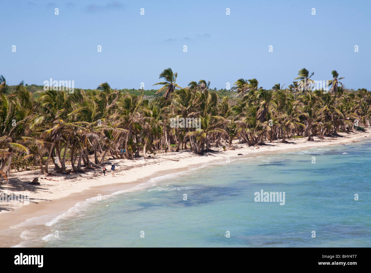 Little Corn Island, Nicaragua Stock Photo Alamy