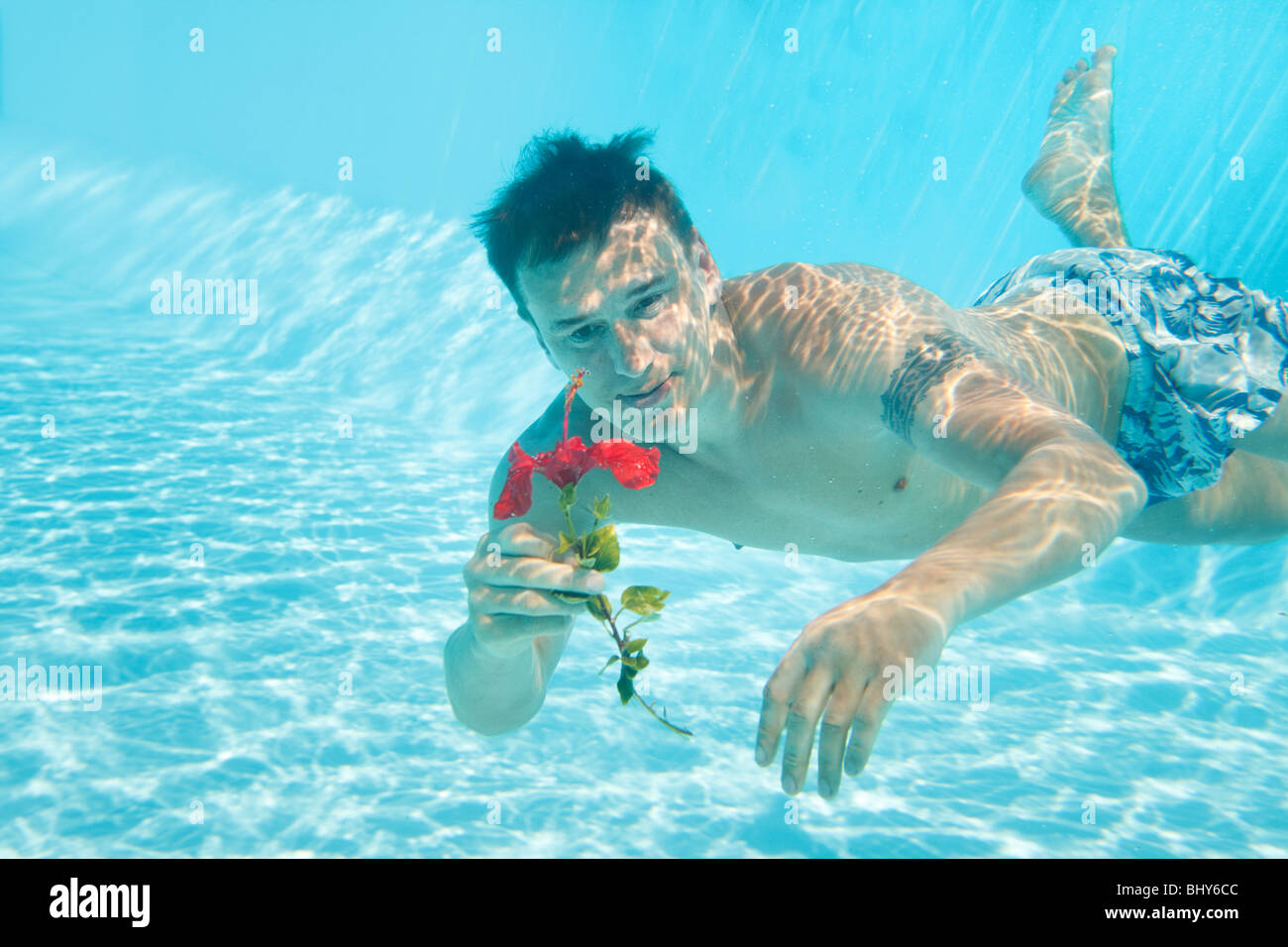 Man swimming with open eyes underwater in pool holding flower Stock