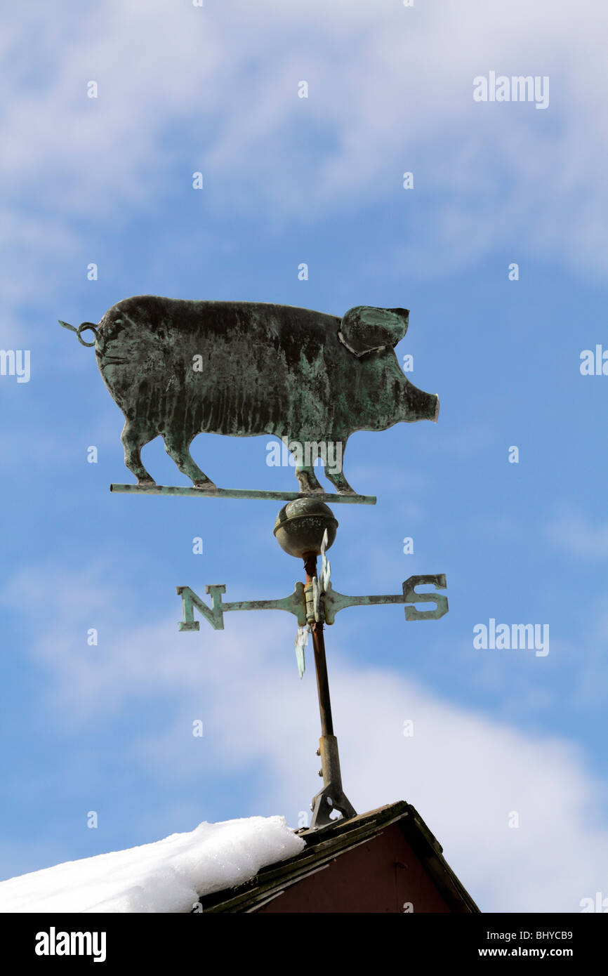 Weathervane weathervanes hires stock photography and images Alamy
