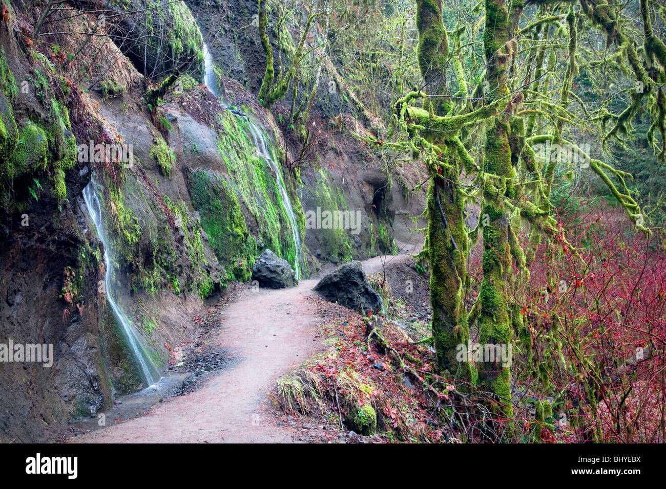 Trail with seasonal waterfalls in winter. Eagle Creek. Columbia River Gorge National Scenic Area, Oregon Stock Photo
