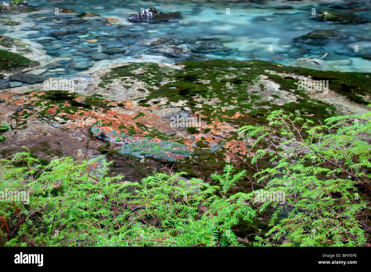 Little North Fork Santiam River with colorful rocks and pools. Opal Creek Scenic Recreation Area, Oregon Stock Photo