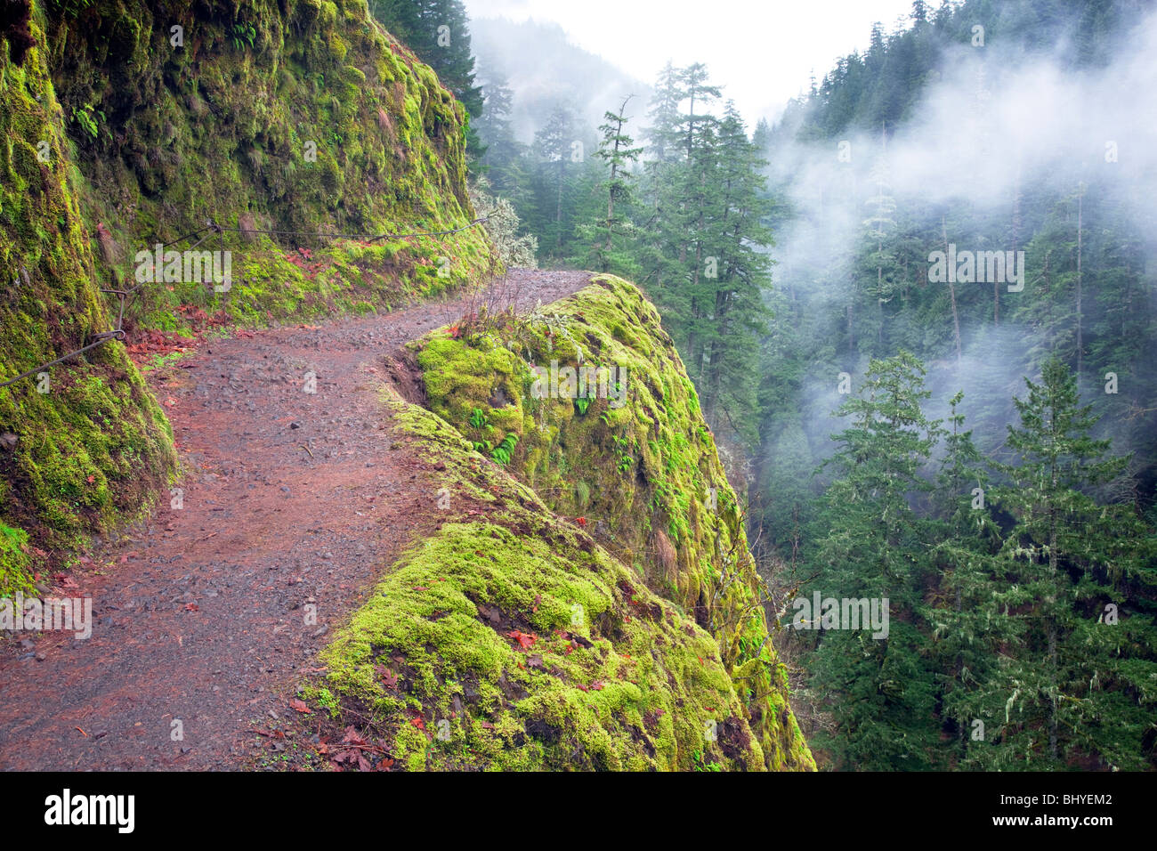 Trail in winter. Eagle Creek. Columbia River Gorge National Scenic Area, Oregon Stock Photo