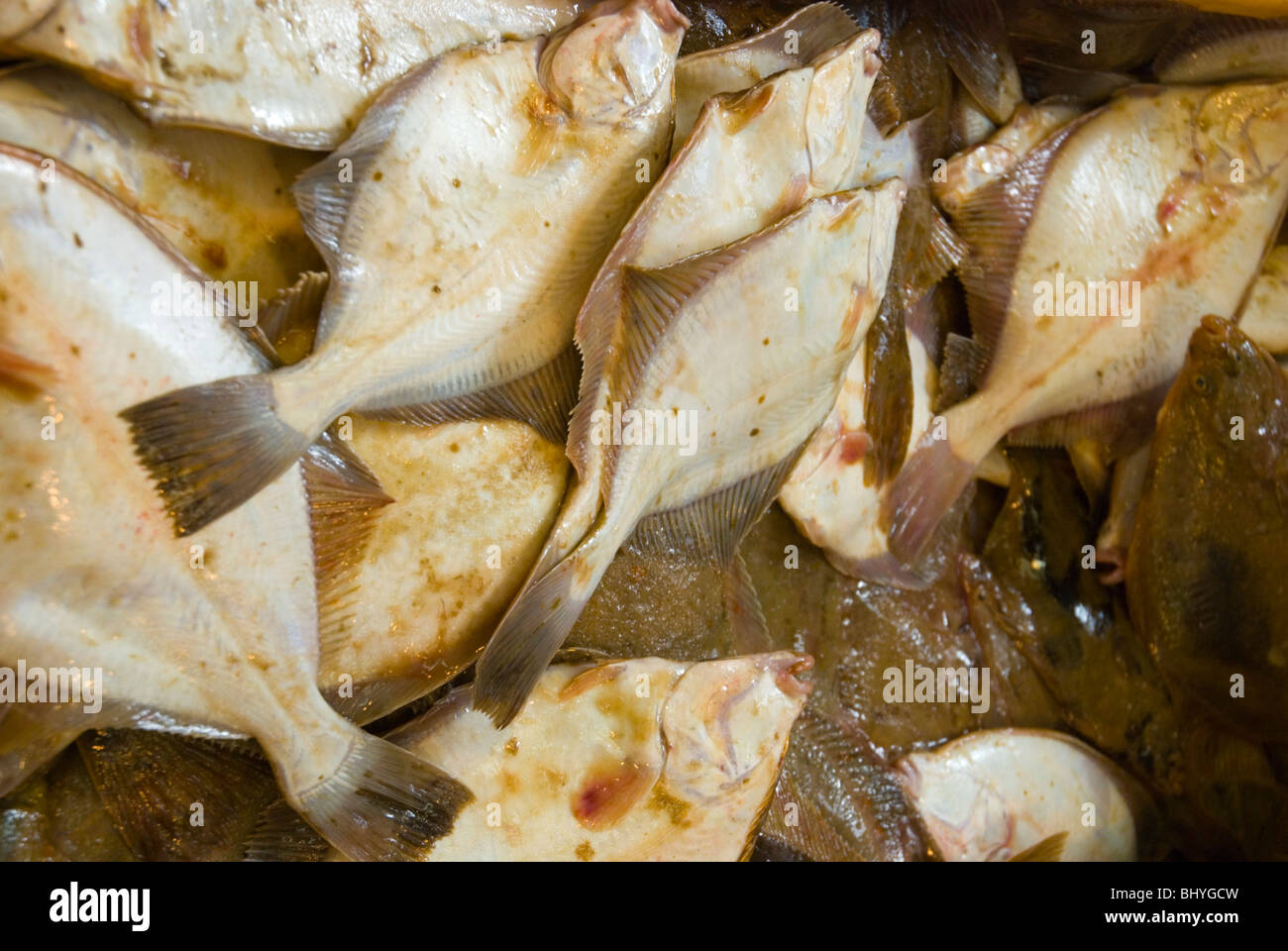 Latvian fish hi-res stock photography and images - Alamy