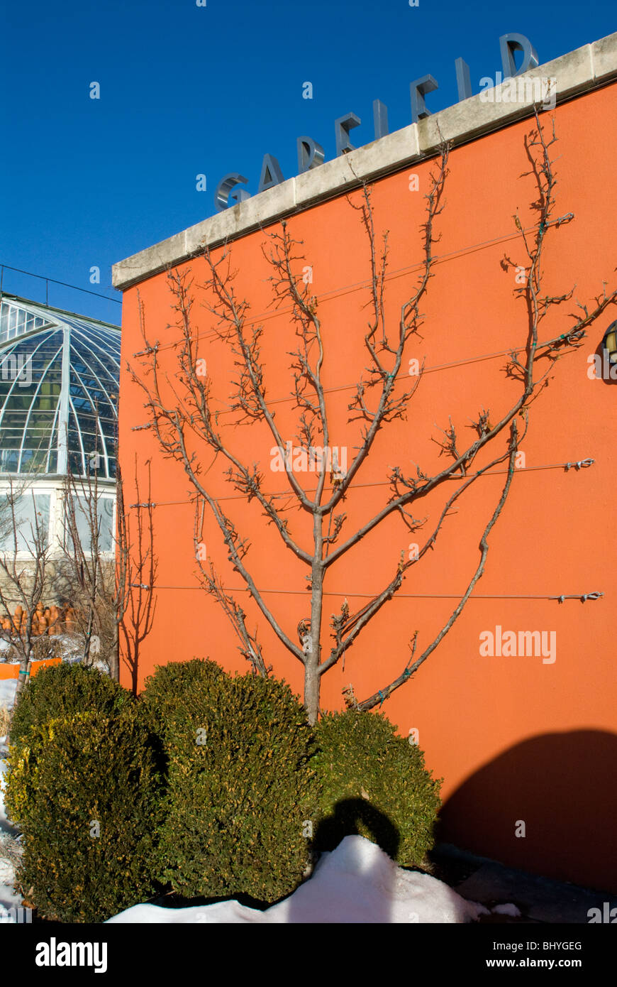 Garfield Park Conservatory, Chicago, Illinois Stock Photo Alamy