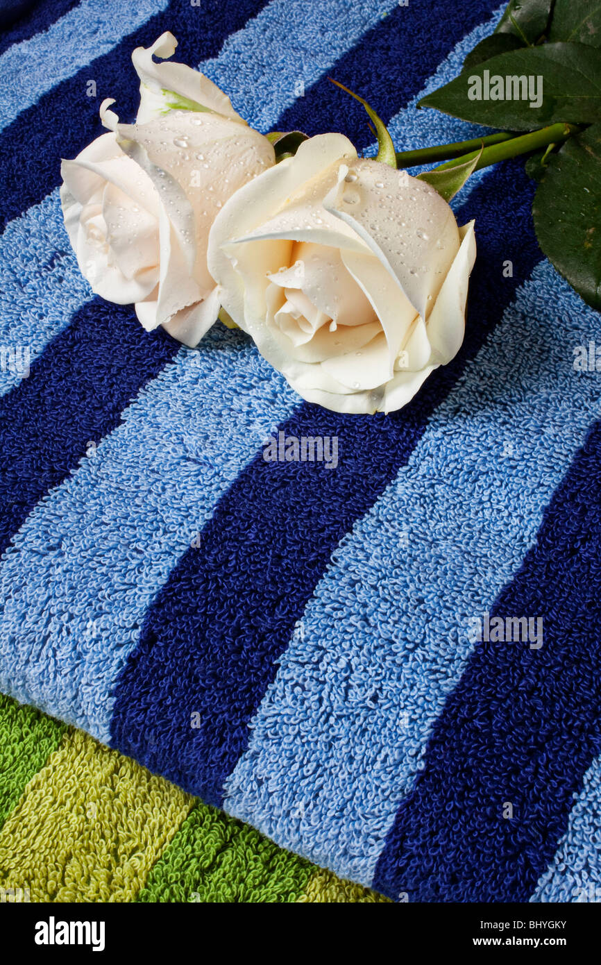 Two white roses towels hi-res stock photography and images - Alamy