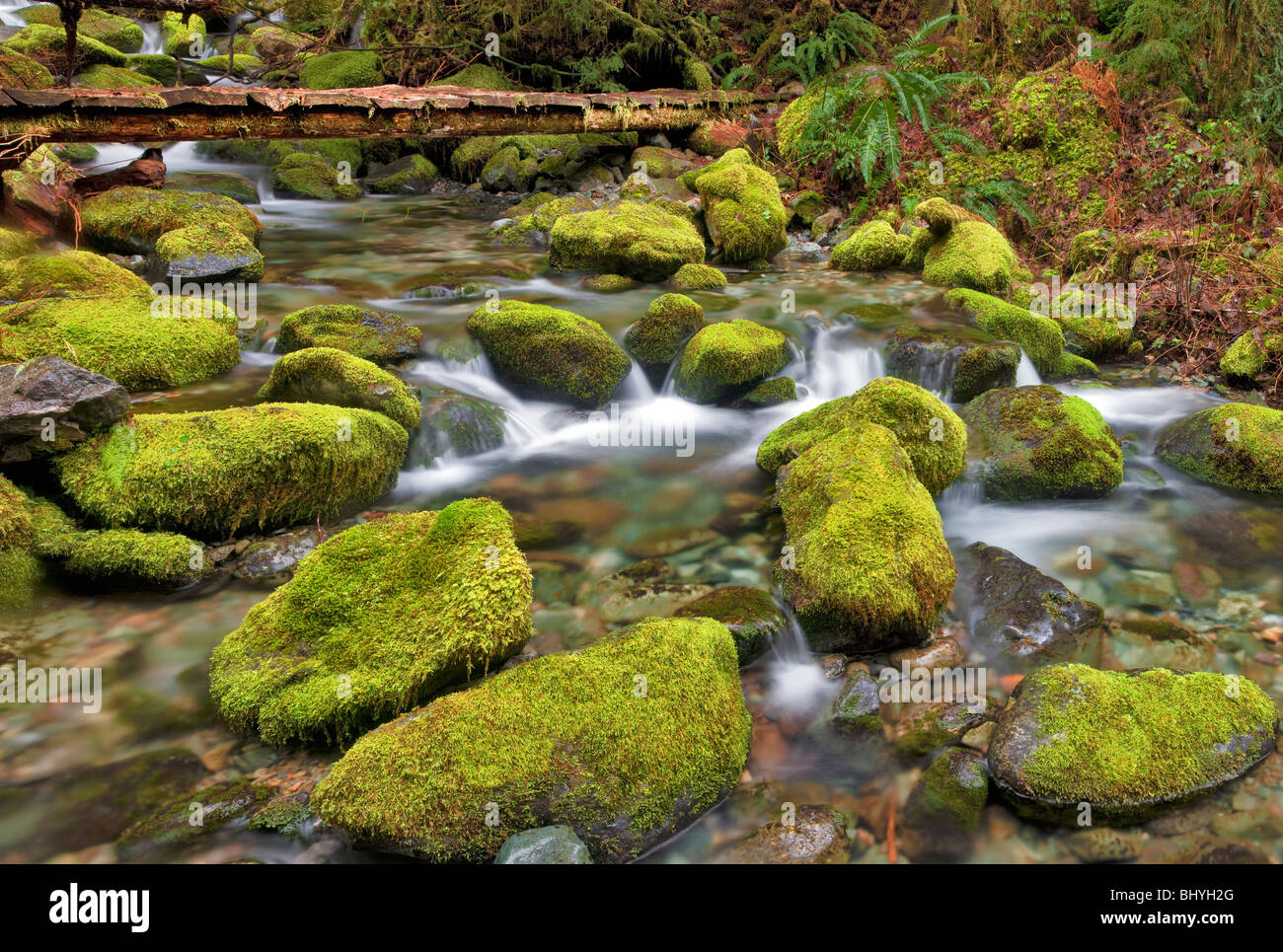 Bridge over small creek with mossy rocks. Opal Creek Scenic Recreation Area, Oregon Stock Photo