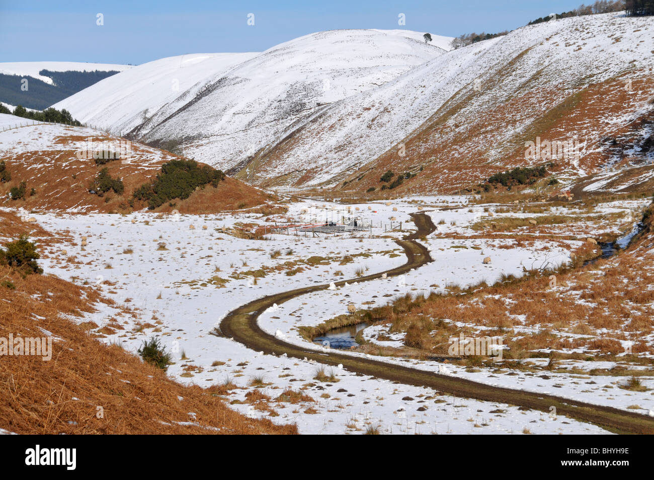 Single track road to a snowy Drumtochty Glen, near Auchenblae