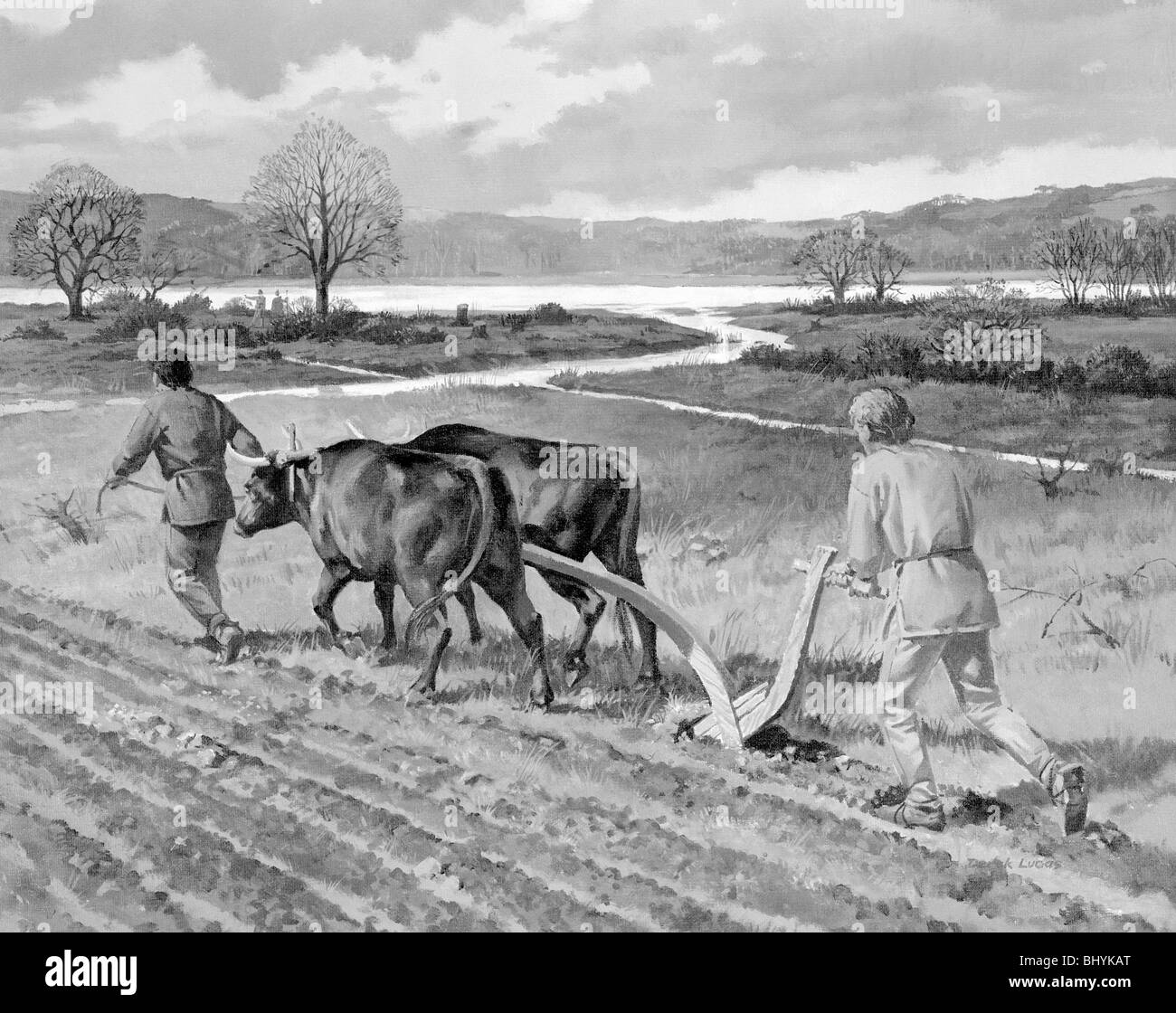 Ploughing in the Bronze Age Stock Photo 28267424 Alamy
