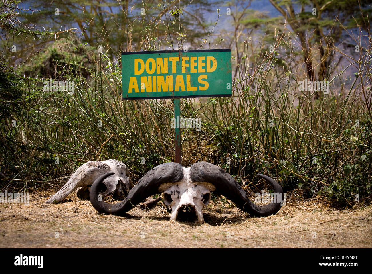'Dont feed animals' Ngorongoro Crater, Tanzania, East Africa Stock Photo