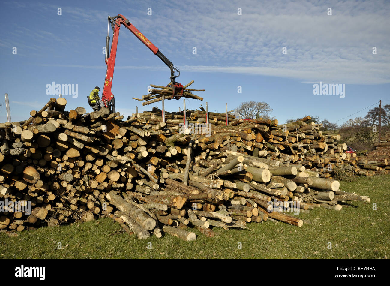 Loading freshly sawn logs on to a truck North Wales UK Stock Photo