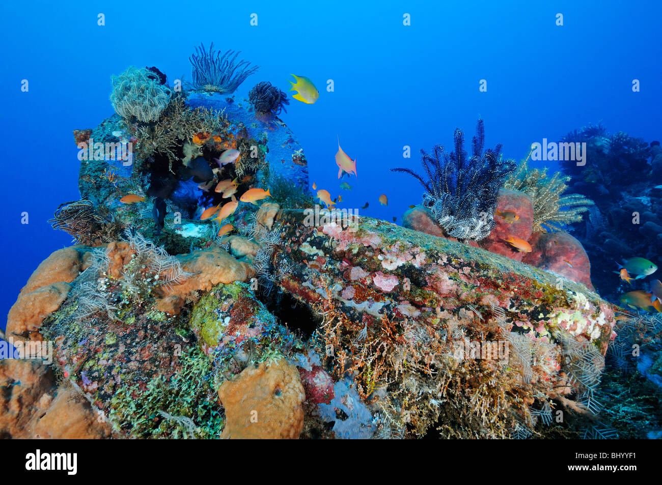 colorful Artificial reef made of old tires, Jemeluk, Cemeluk, Amed