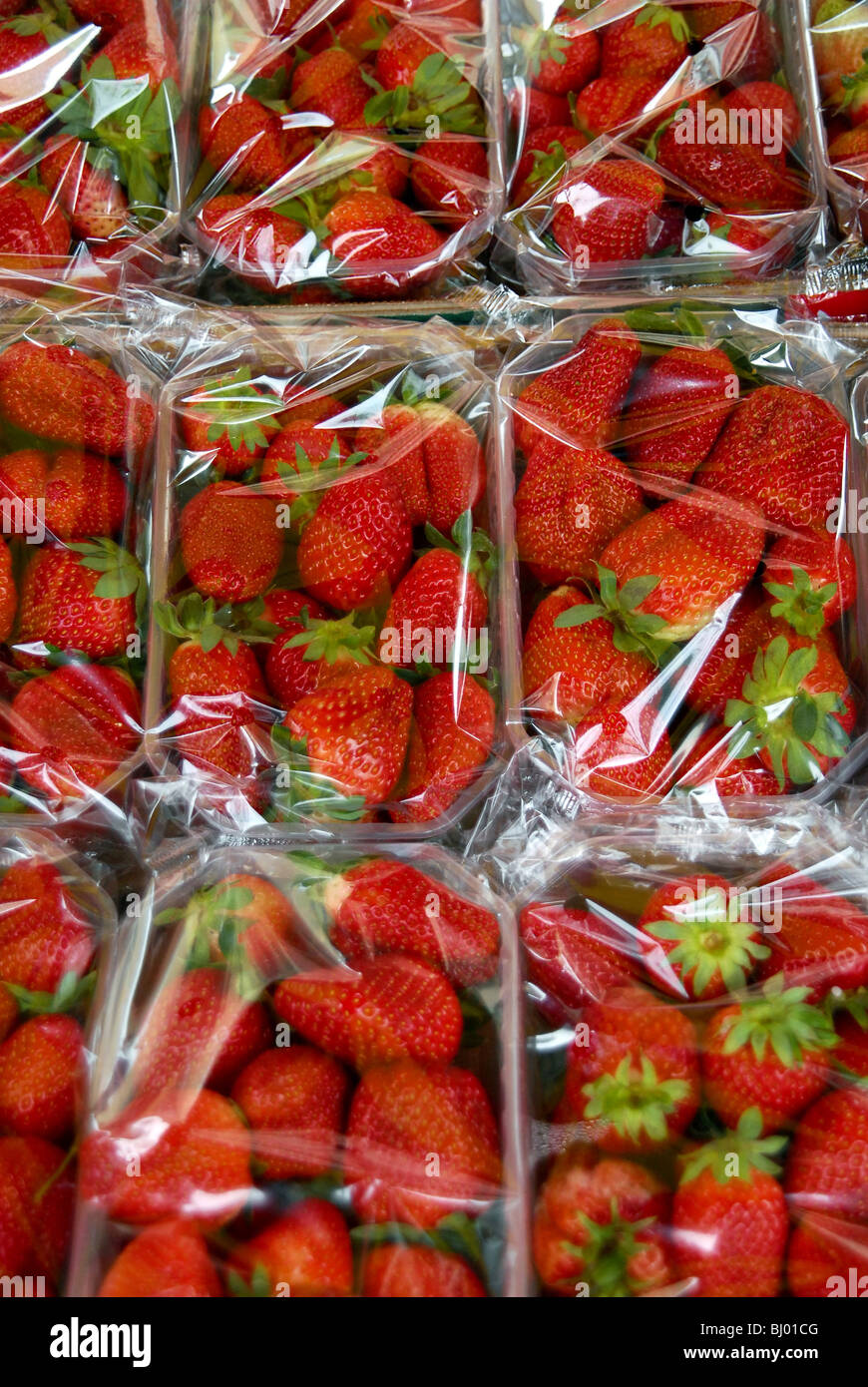 Strawberry hires stock photography and images Alamy