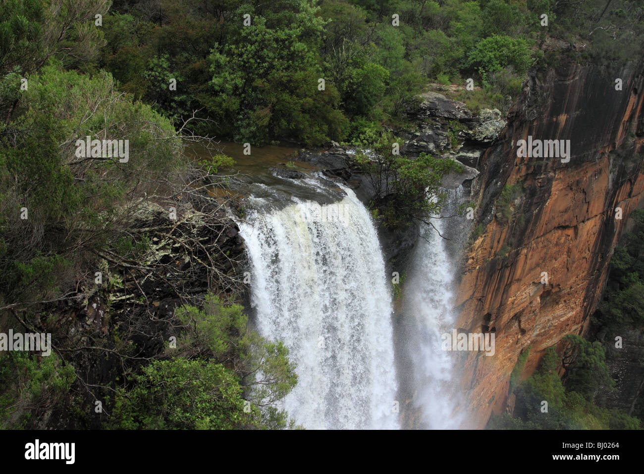 Fitzroy Falls in Morton National Park, NSW, Australia Stock Photo Alamy