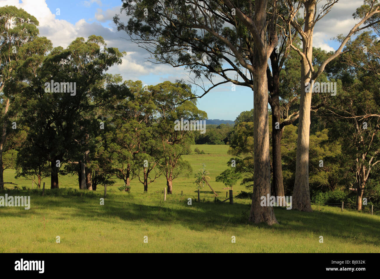 Rural landscape outside Dungog, NSW, Australia Stock Photo Alamy