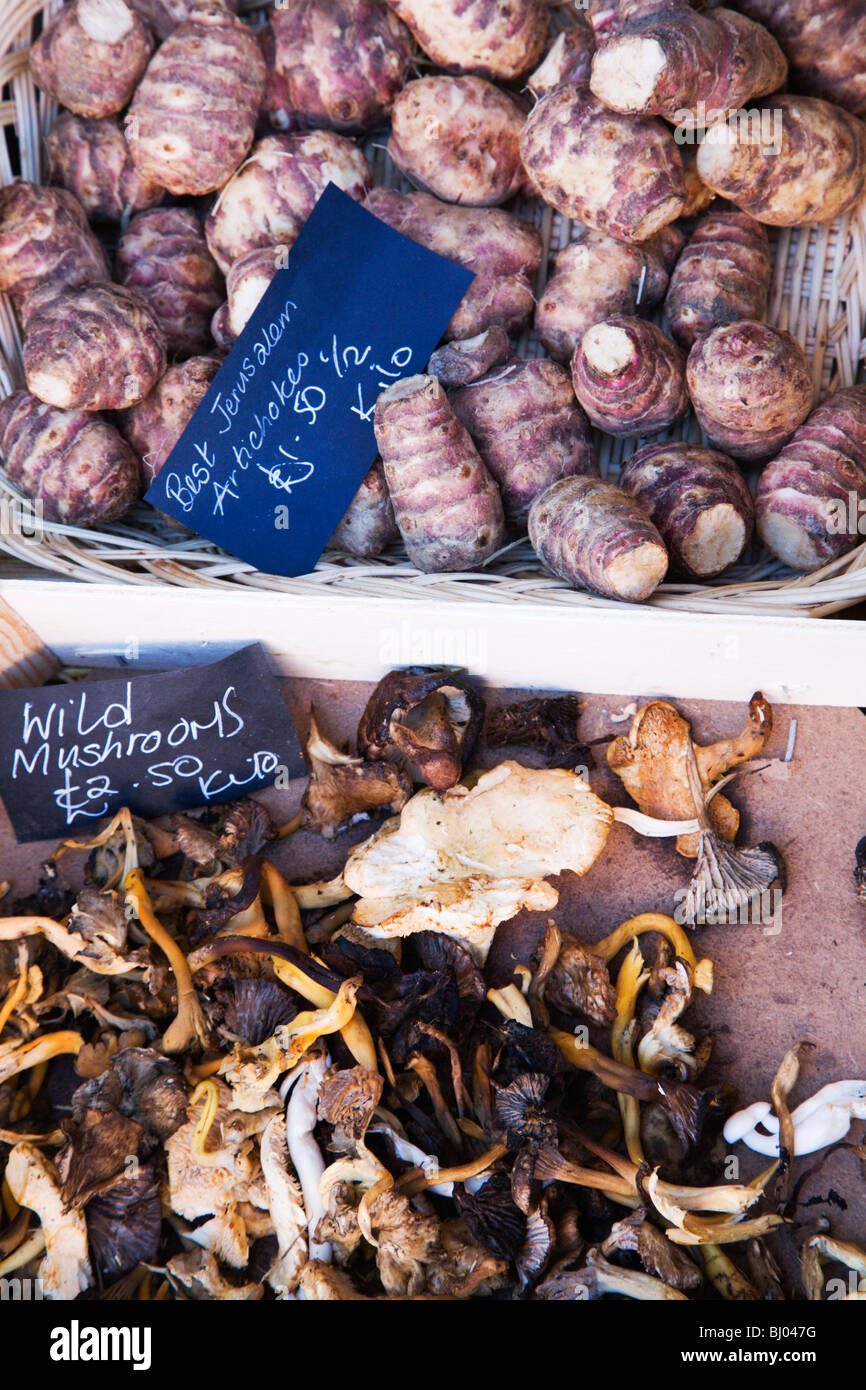 Wild Mushrooms and Jersusalem Artichokes York Yorkshire England Stock
