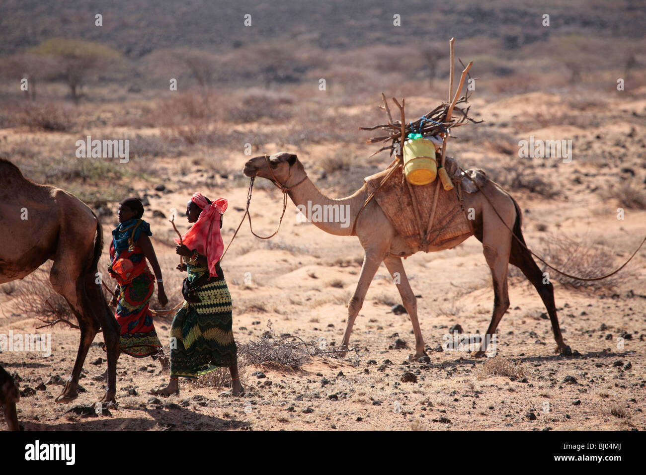 Camel herders in Northern Kenya Stock Photo