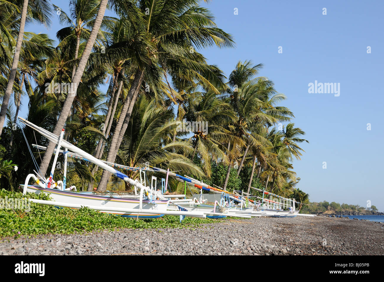Cocos nucifera, traditional Outrigger-Canoes on tropical beach and Coconut Palms, Tulamben, Bali, Indonesia, Indopacific Ocean Stock Photo