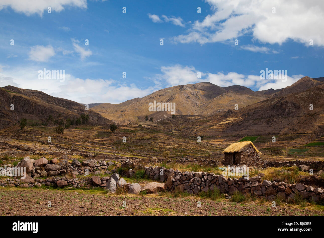 Peruvian adobe brick hut near the town of Chivay, Colca Canyon, Peru, South America Stock Photo