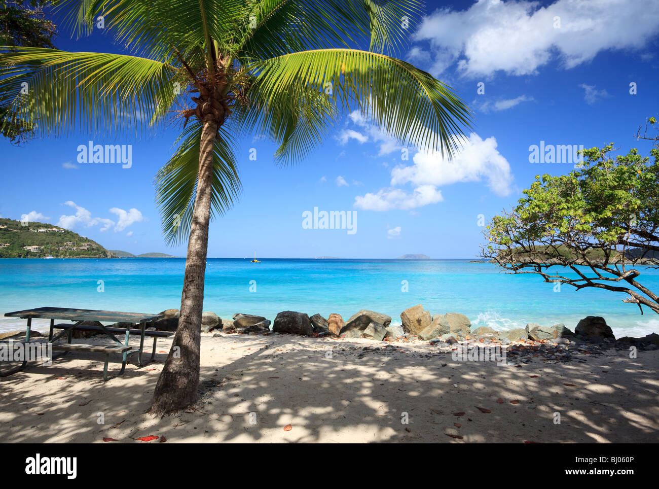 Coconut palm and a picnic table at a Caribbean beach Stock Photo