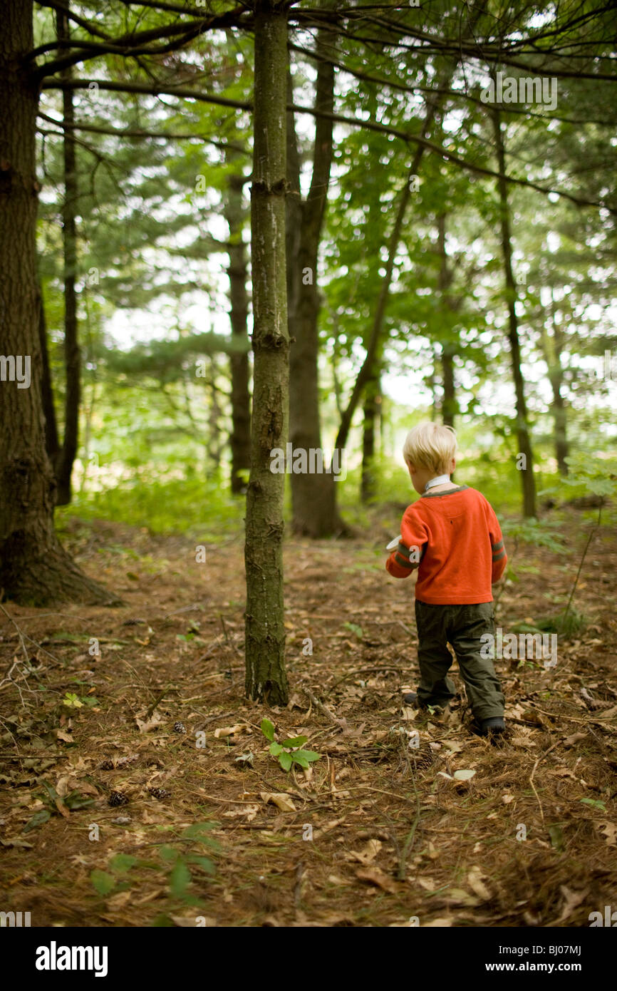 Young boy playing in the woods. Stock Photo