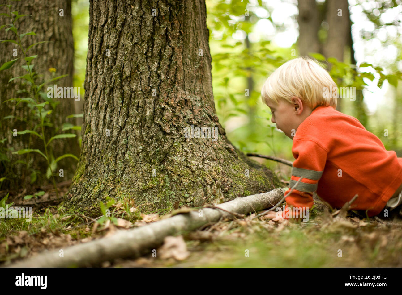 Young boy playing in the woods. Stock Photo