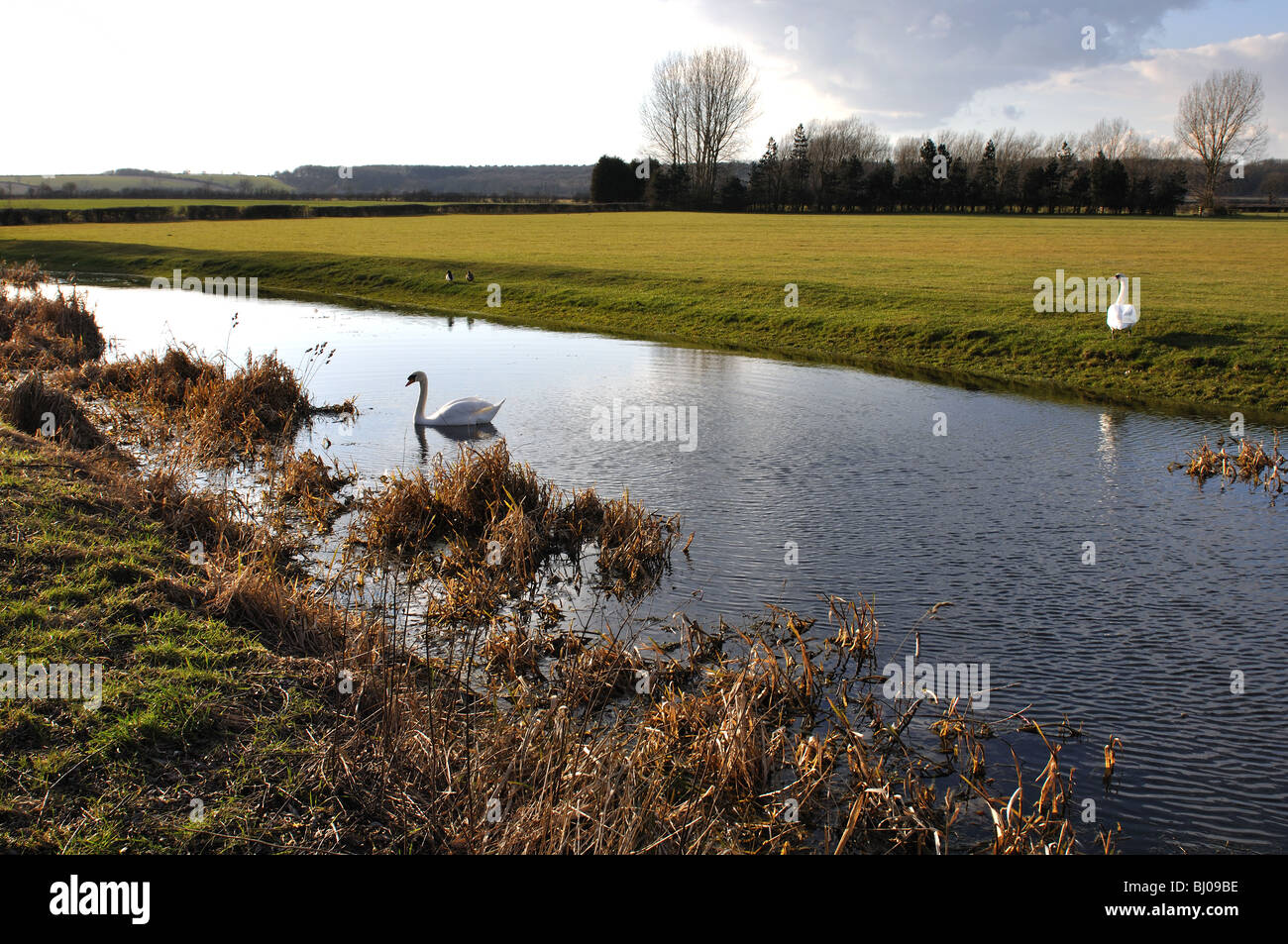 The Grantham Canal near Owthorpe, Nottinghamshire, England, UK Stock Photo