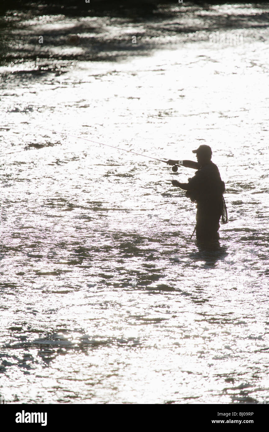 Silhouette fly fisherman casting in hi-res stock photography and