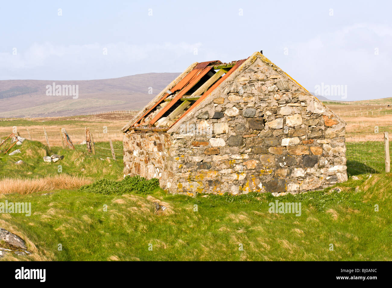 Abandoned stone built corrugated roofed byre Stock Photo