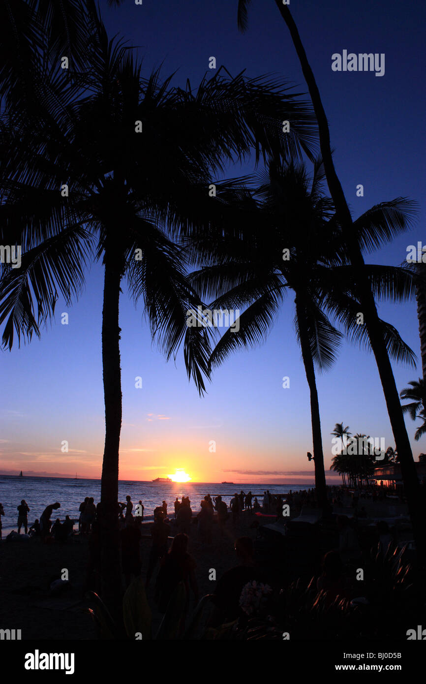 Palm trees stunning sunset hi-res stock photography and images - Alamy