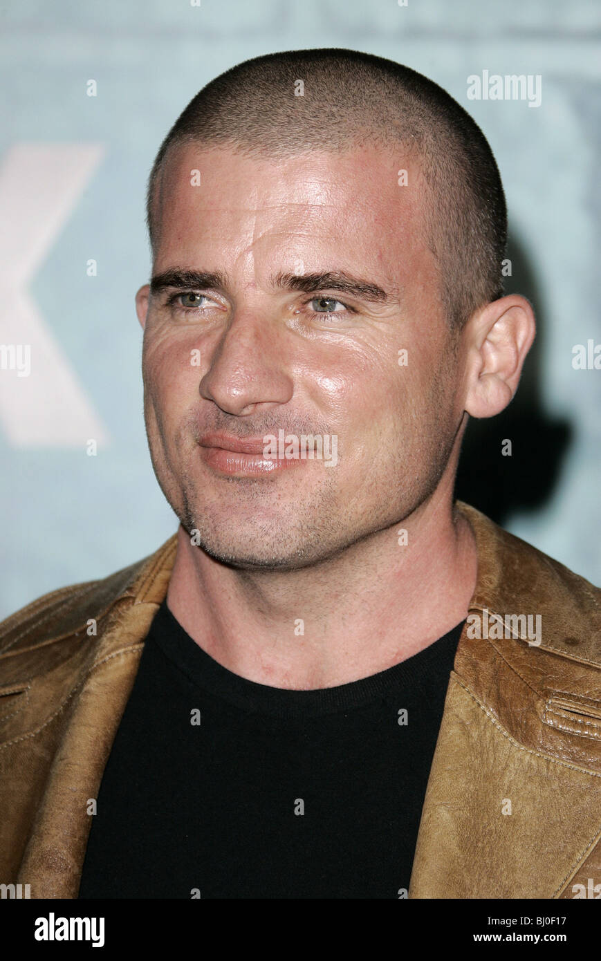 Dominic Purcell With Hair