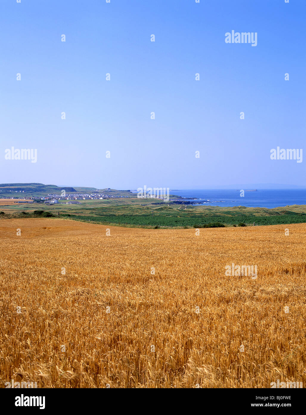 Coastal scene, The Causeway Coast, Northern Ireland, United Kingdom