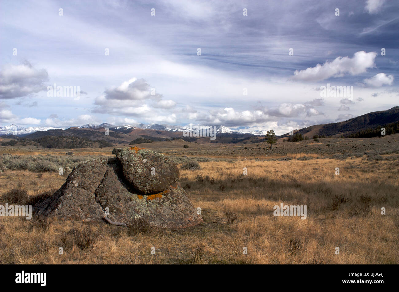 Lichen covered boulder. Lamar Valley, Yellowstone National Park. Absaroka Mountains in distance. Stock Photo