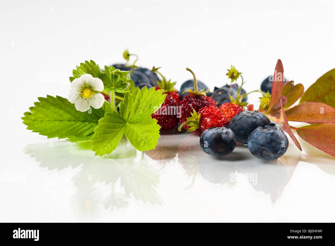 berry fruit Stock Photo