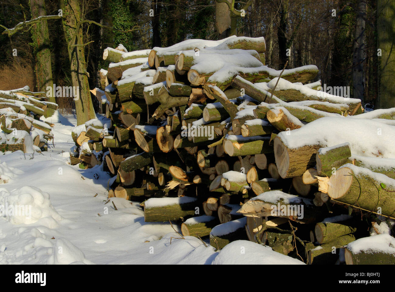 Holzstapel im Winter - stack of wood in winter 08 Stock Photo