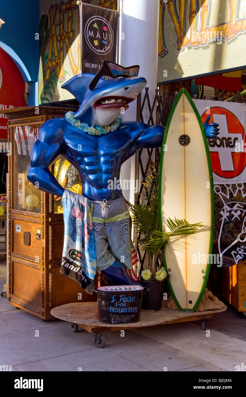 Shark Art Store Front Stock Photo Alamy