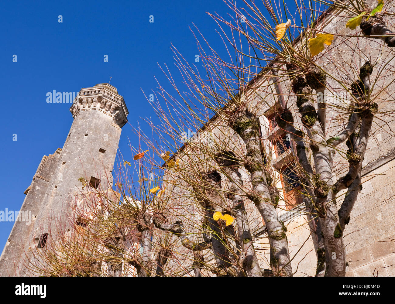 16th Century Octagonal stone tower, Chateau Le Grand-Pressigny, sud-Touraine, France. Stock Photo