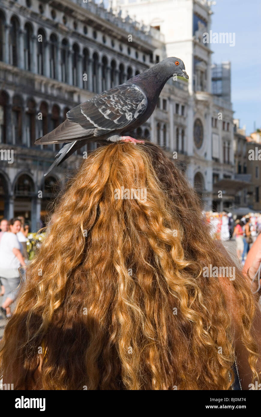 St Marks Square ( Piazza San Marco) female tourist with pigeon on her head. Venice Italy HOMER SYKES Stock Photo