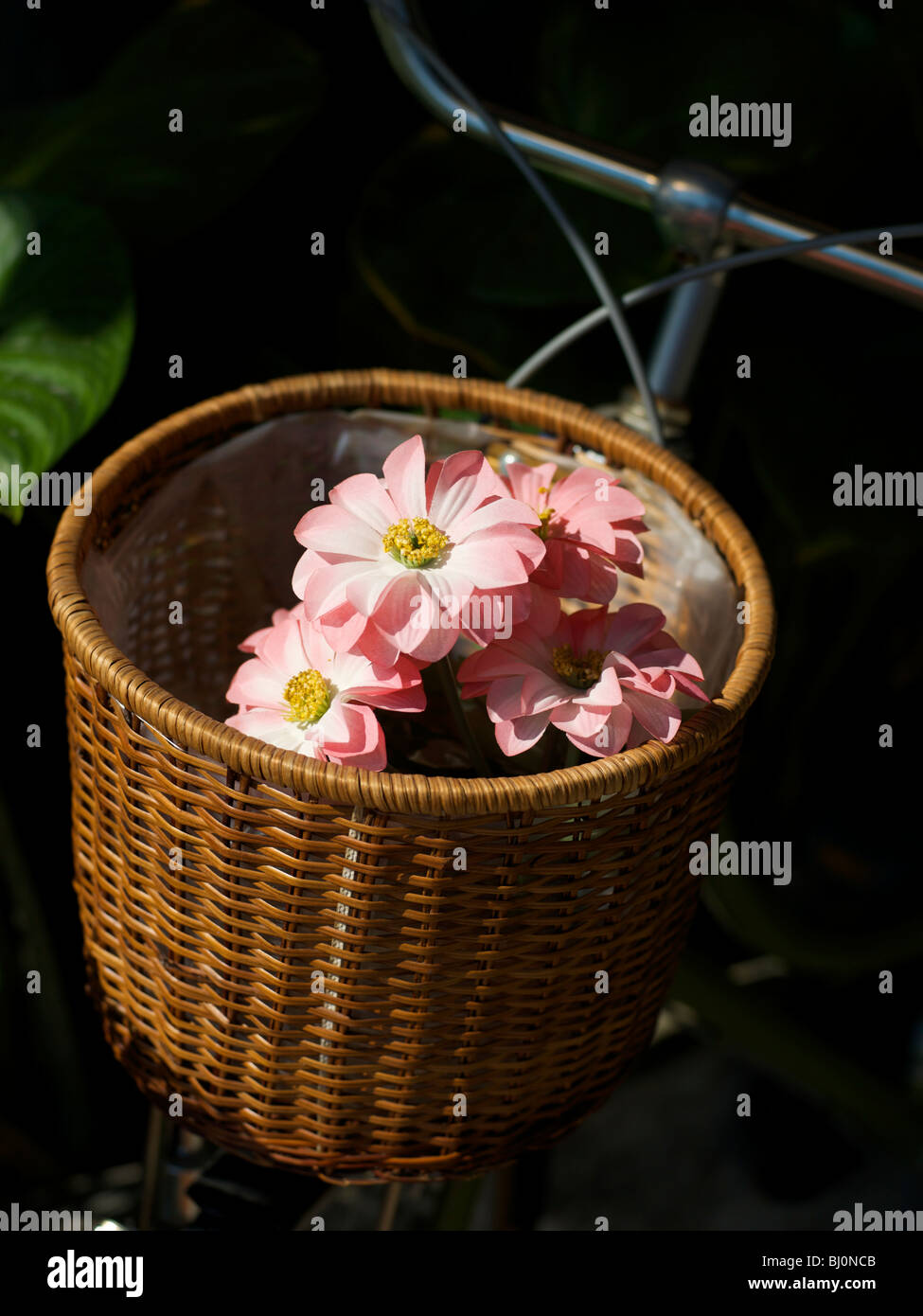 Wicker bicycle basket with fake pink flowers inside Stock Photo Alamy